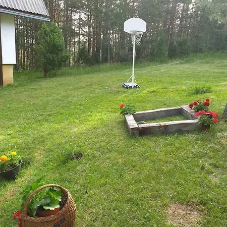 Вилла Borova Glava *
